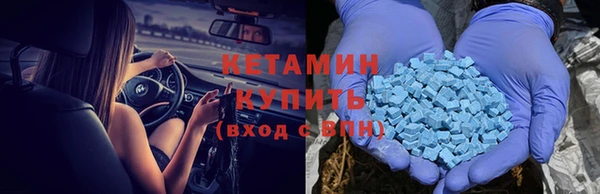 сатива Балахна