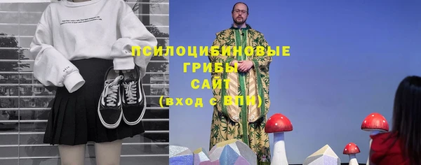сатива Балахна