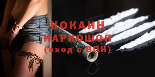 сатива Балахна
