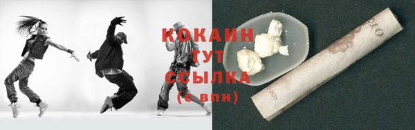крисы Баксан