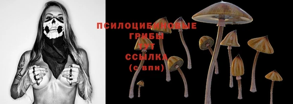 молекула духа Балабаново