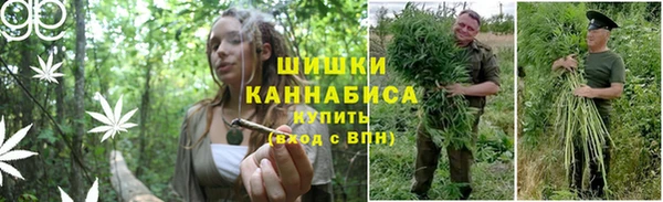 крисы Баксан
