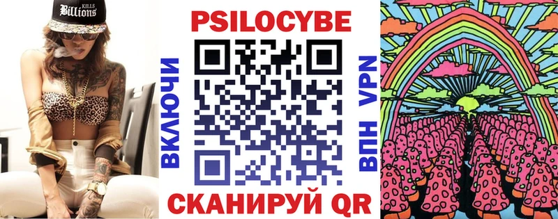 OMG сайт  закладка  Шали  Галлюциногенные грибы Psilocybine cubensis 