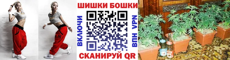 МЕГА маркетплейс закладка Шали Каннабис VHQ